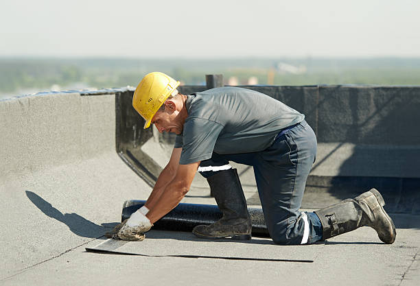 Best Eco-Friendly Insulation in Forked River, NJ